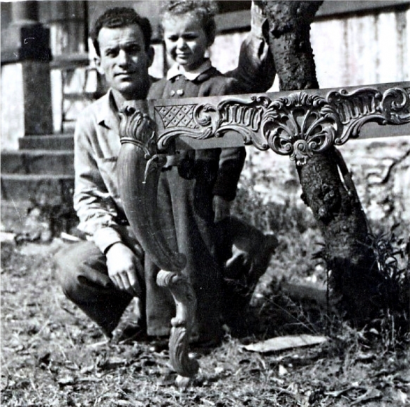 Image module